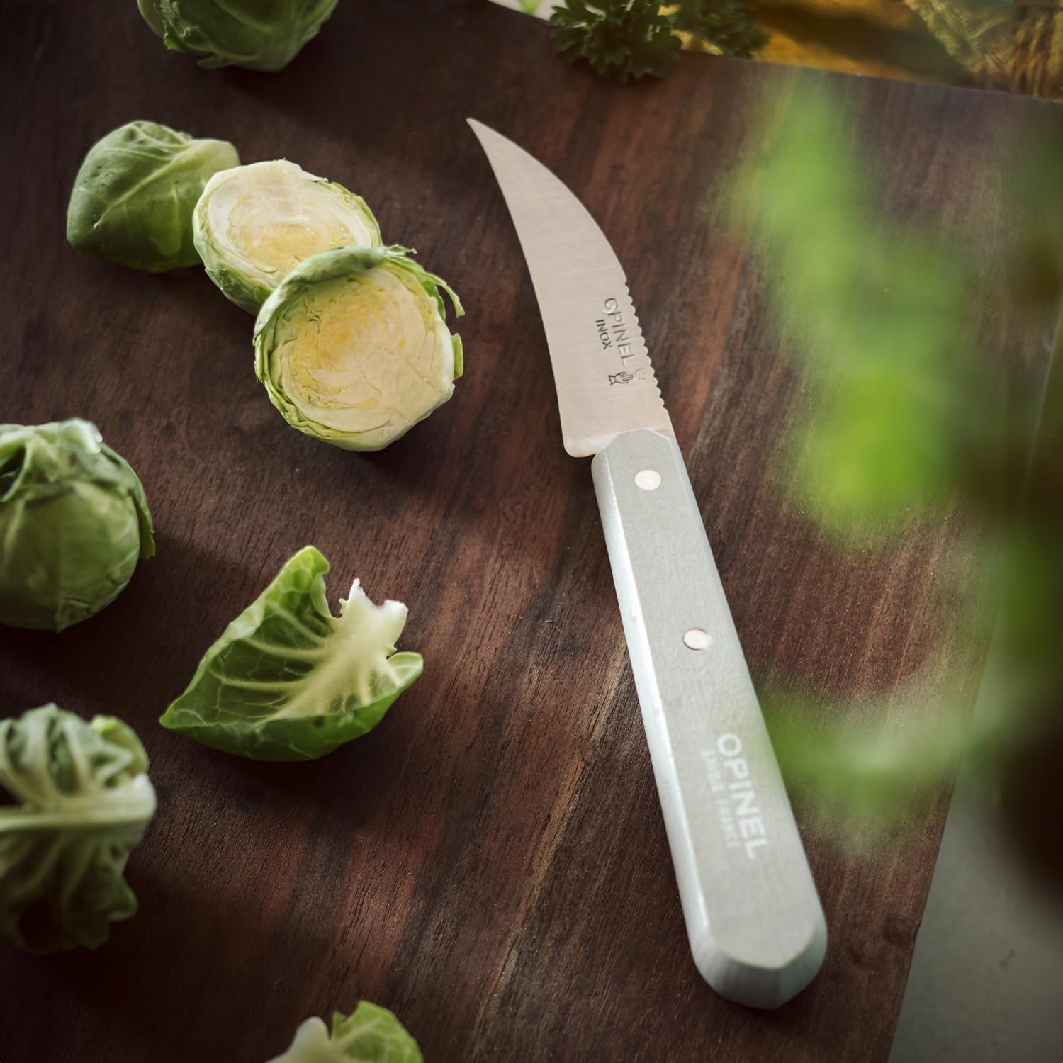 OPINEL Essential No.114 Vegetable Knife, Hornbeam Wood Handles, Made i