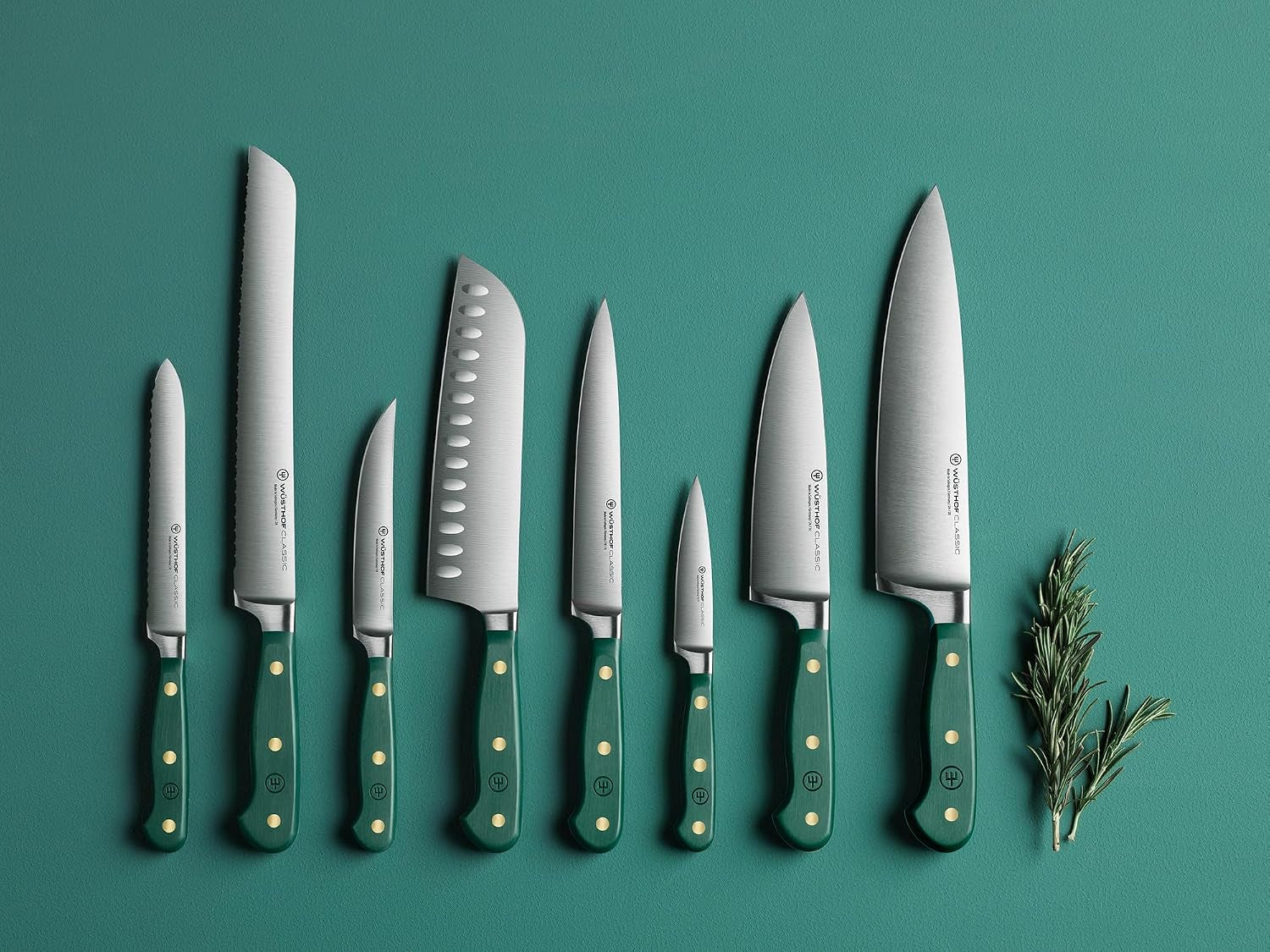 3.5 Inch Rosemary Paring Knife