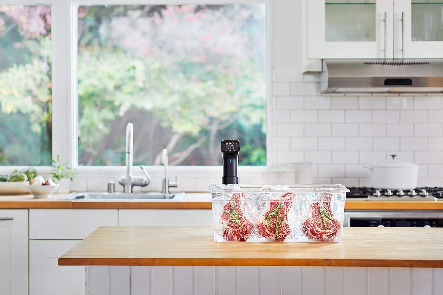 Anova Precision Cooker Pro
