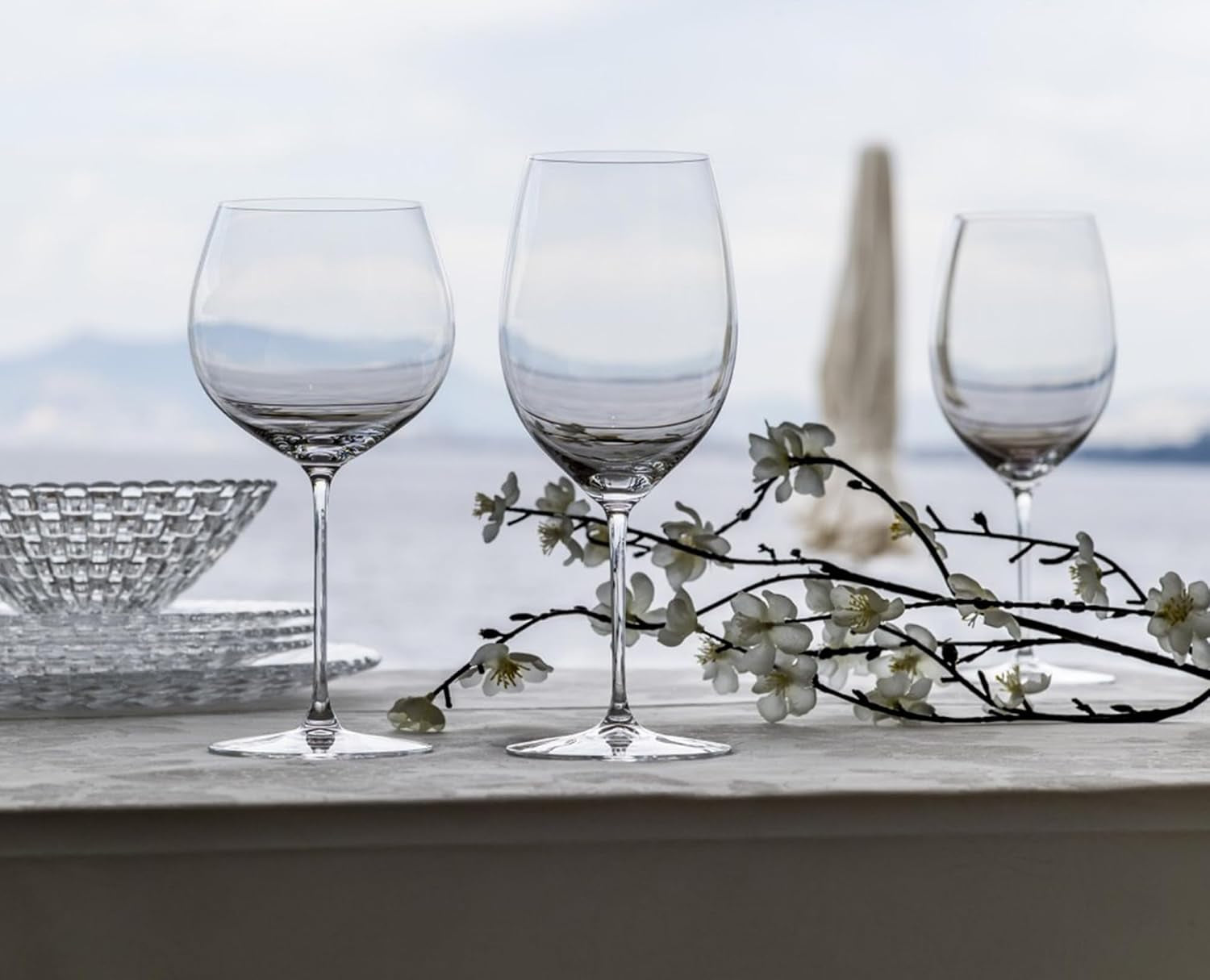 Riedel Veritas Cabernet Glass