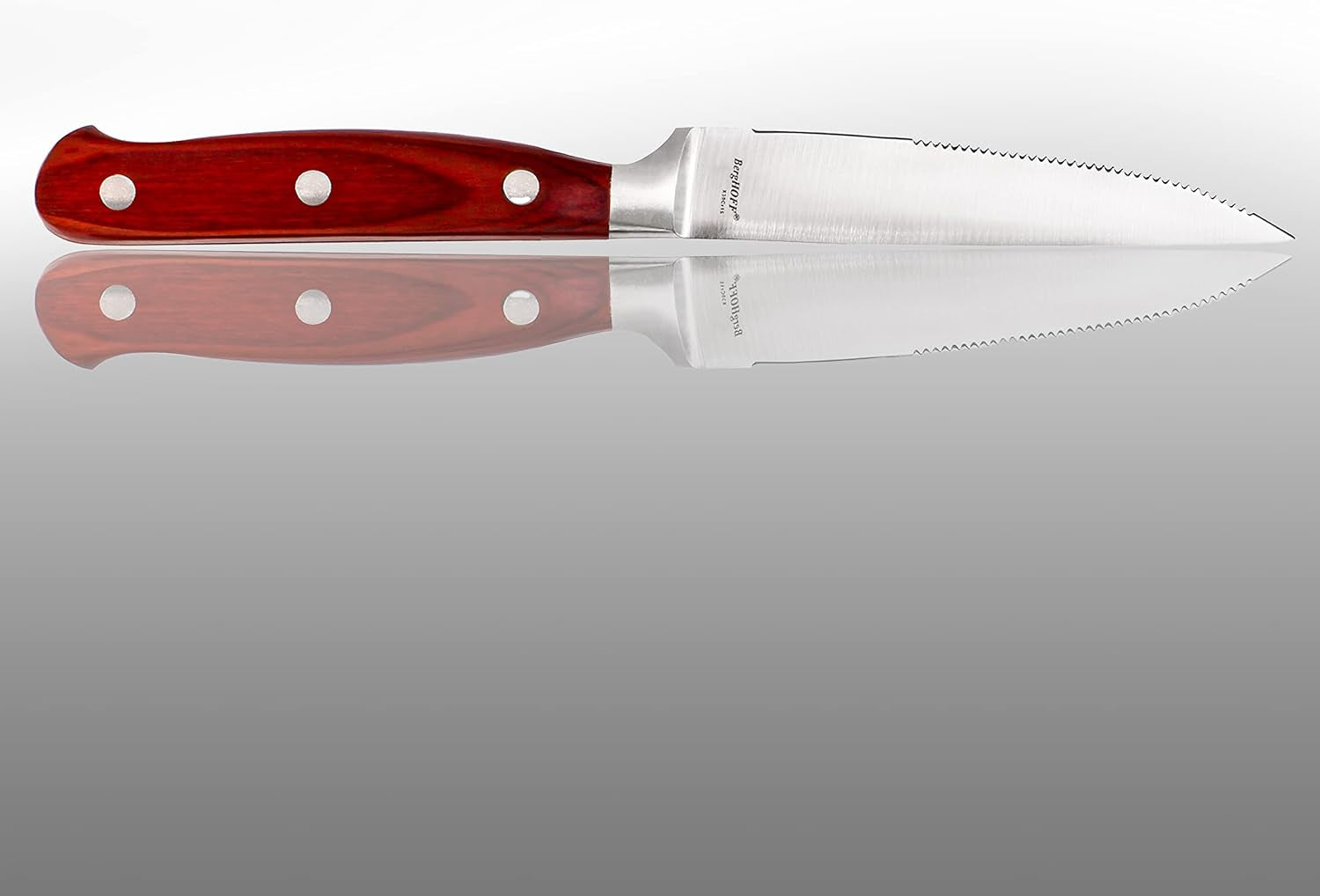 12 Piece Pakka Wood Steak Knife Set