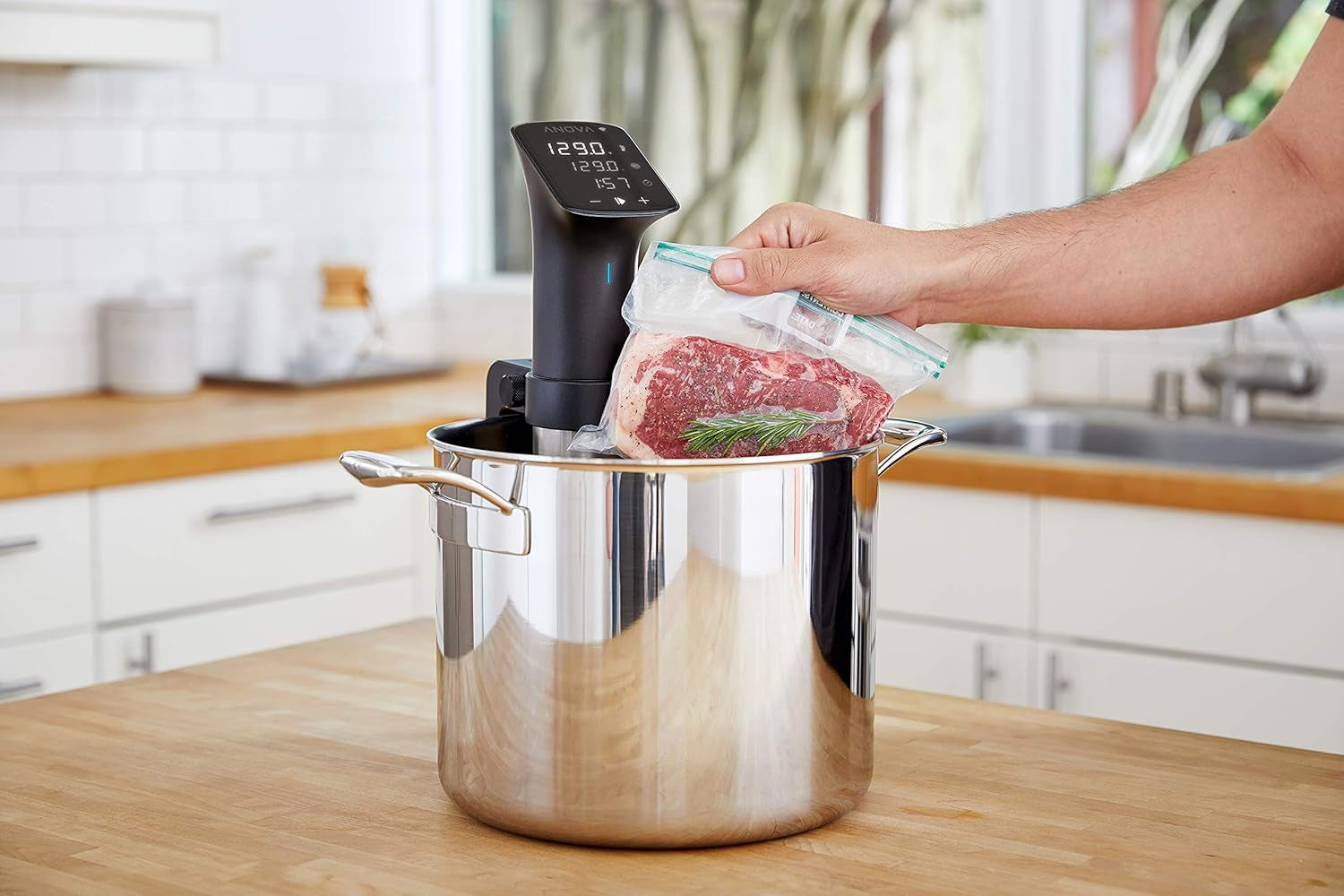 Anova Culinary Precision Cooker Pro