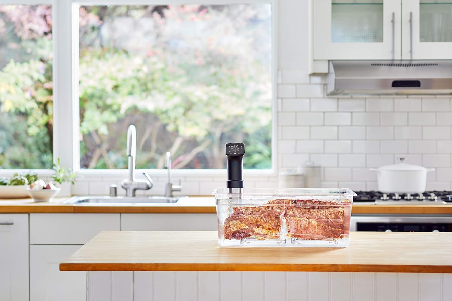 Anova Culinary Precision Cooker Pro