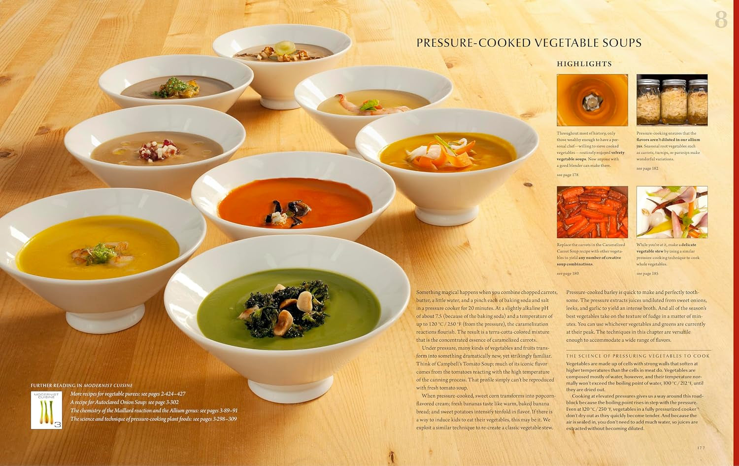 Modernist Cuisine at Home