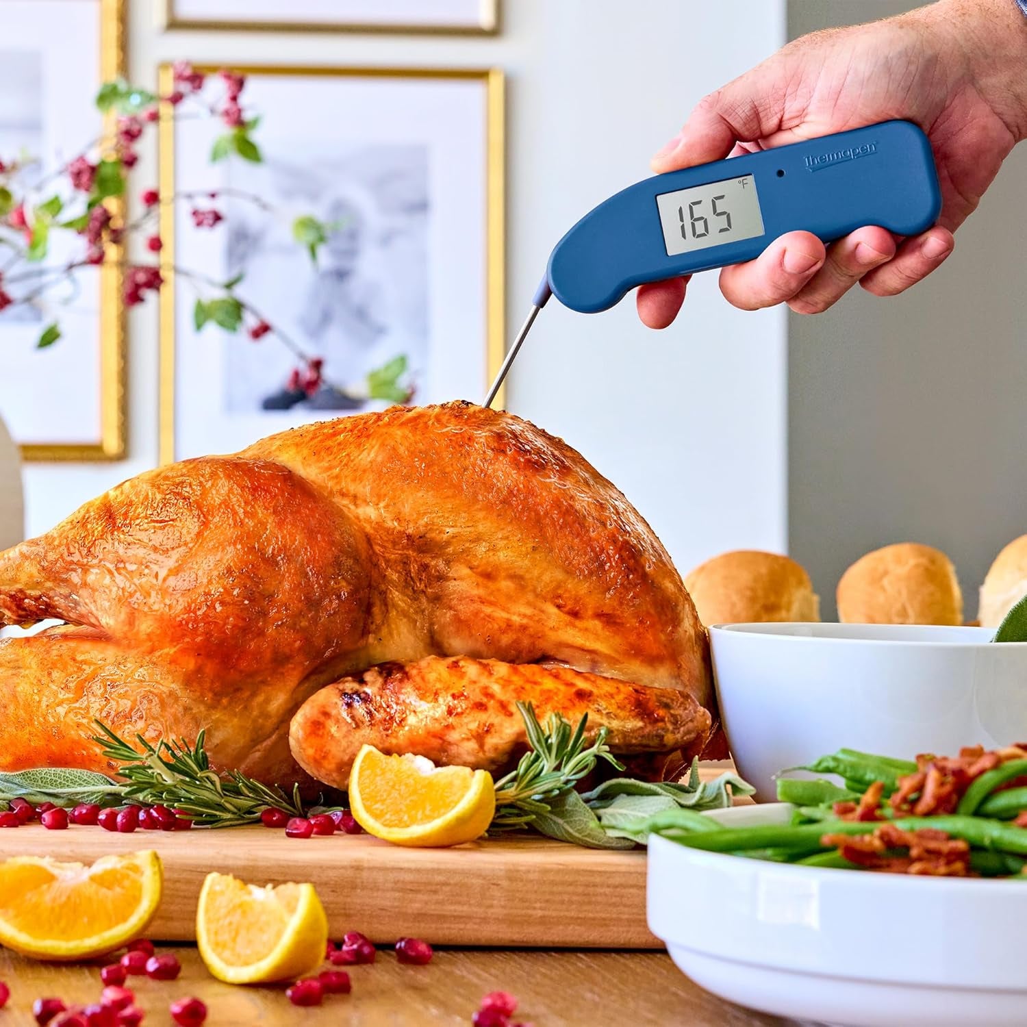 ThermoWorks Thermapen ONE, No. 1 Recommended Instant-Read Thermometer 