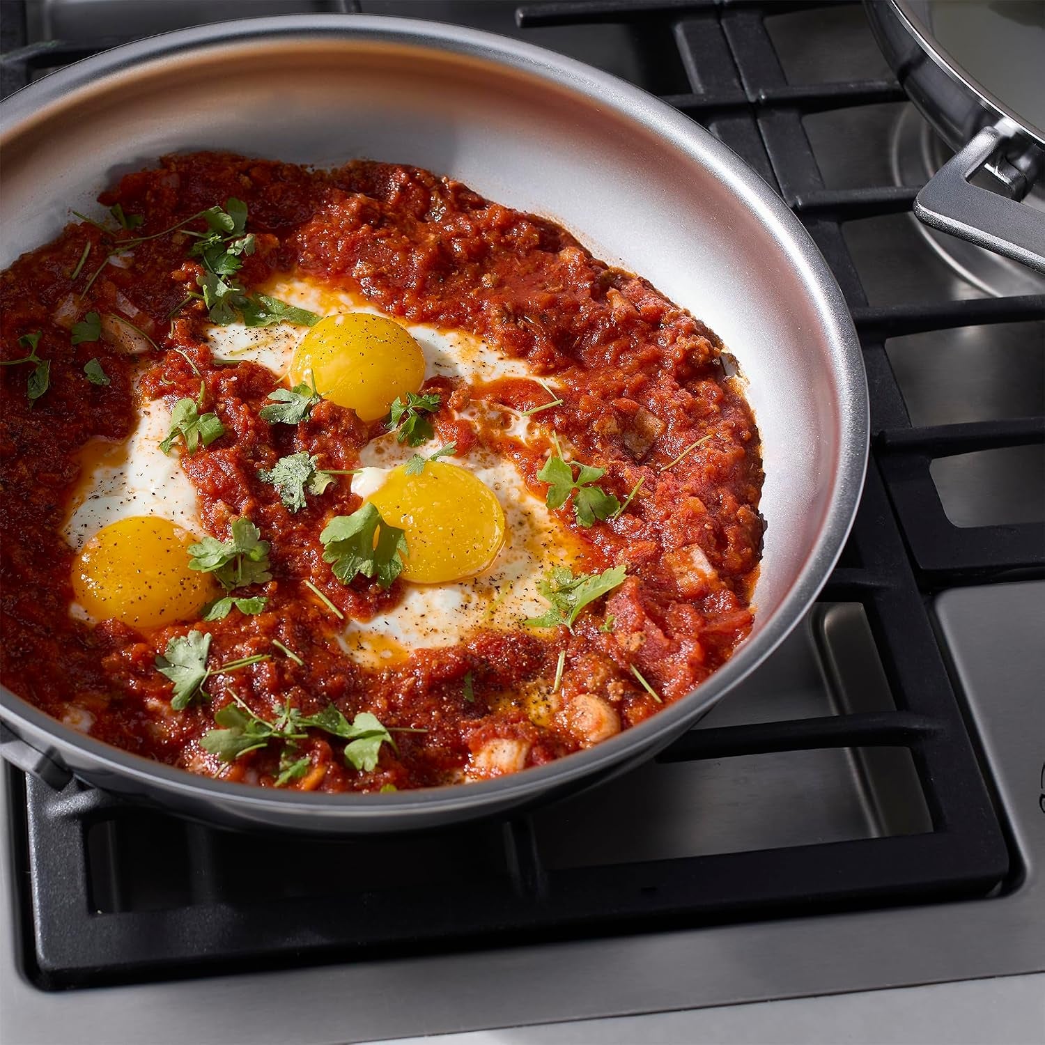 Demeyere Proline 11-Inch Fry Pan