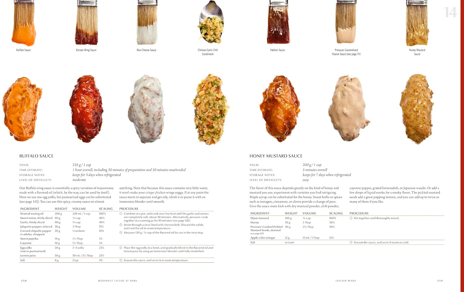 Modernist Cuisine at Home
