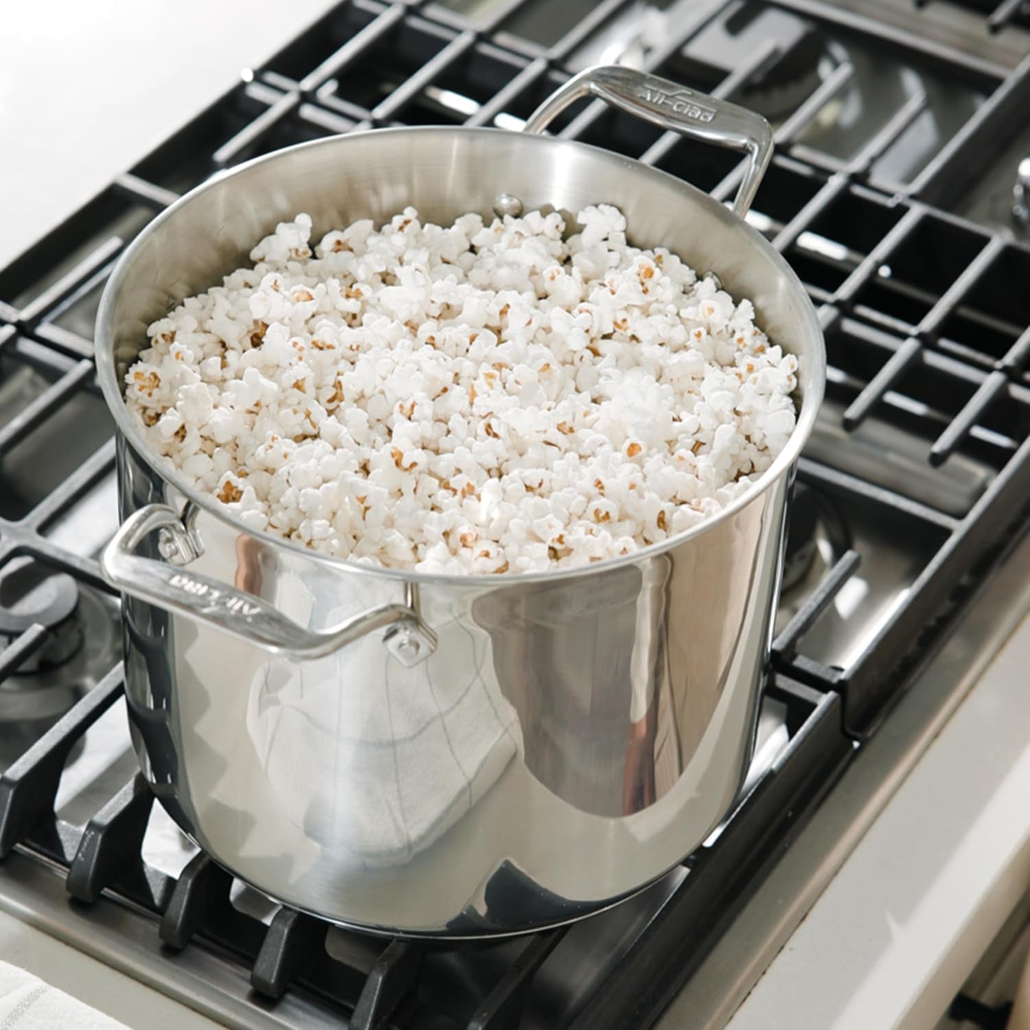 All-Clad 12 Qt Stainless Steel Multipot with Insert & Lid