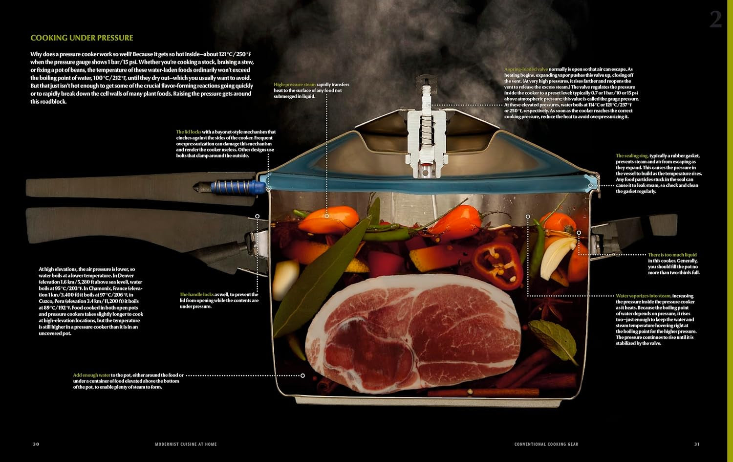 Modernist Cuisine at Home