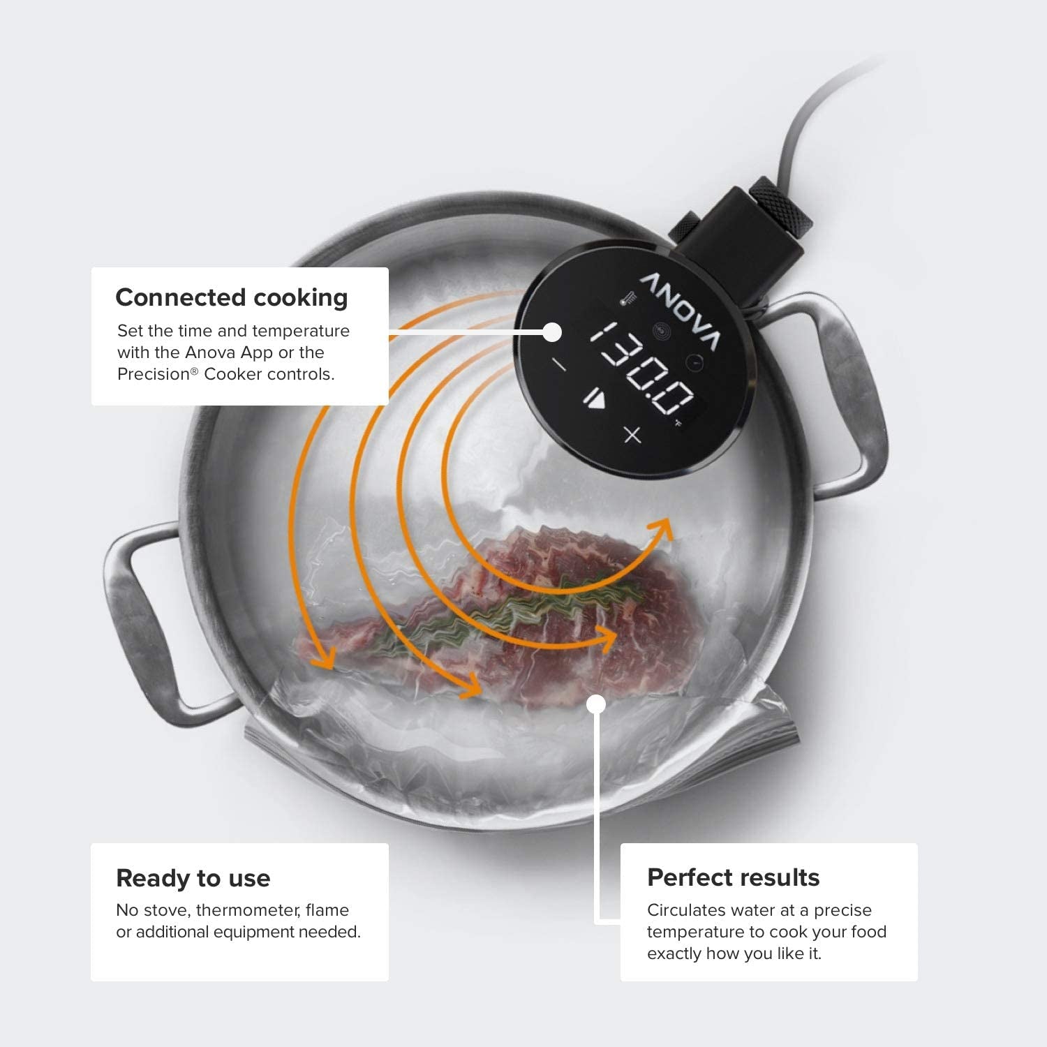 Anova Precision Cooker AN500